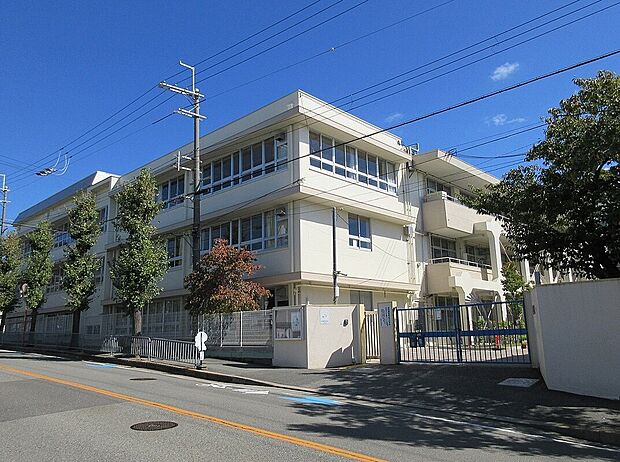 池田市立秦野小学校（約519m）