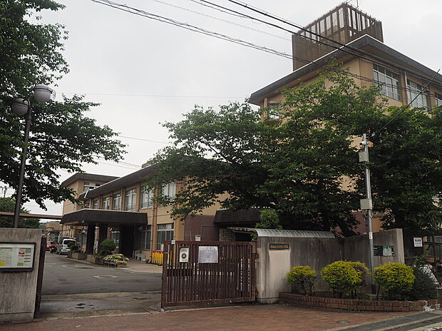 京都市立日野小学校（約690m）