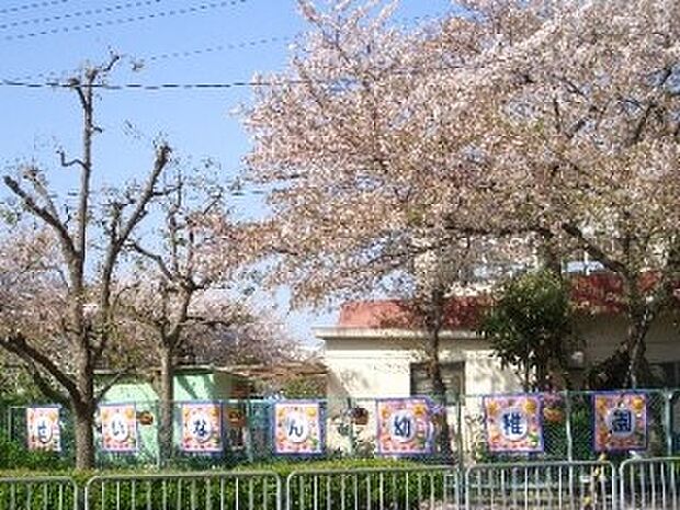 箕面市立せいなん幼稚園（約800m）