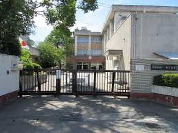 和歌山市立中之島小学校(約750m)