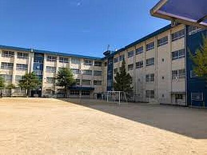 和歌山市立八幡台小学校 1200ｍ(徒歩15分)