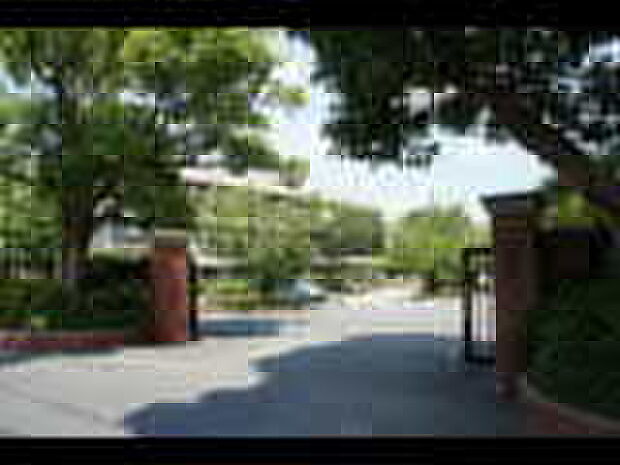 枚方市立第一中学校(約160m)