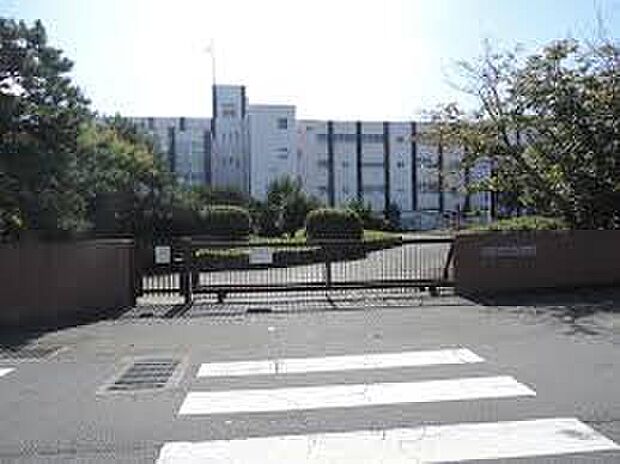 大津市立堅田小学校（約900m）