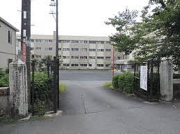 大津市立坂本小学校(約1,400m)