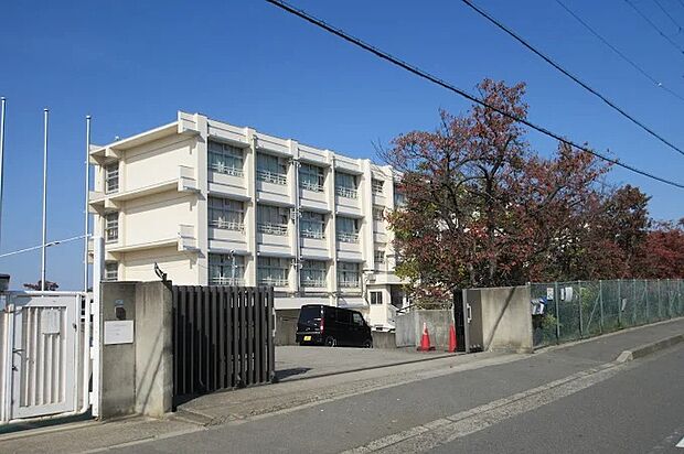 羽曳野市立埴生南小学校（約900m）