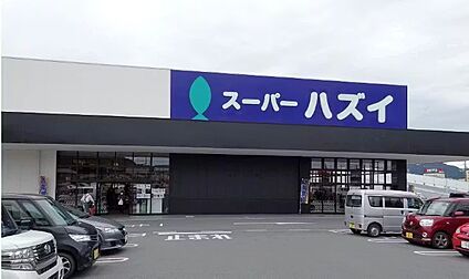 スーパーハズイ水口店 830ｍ(徒歩11分)