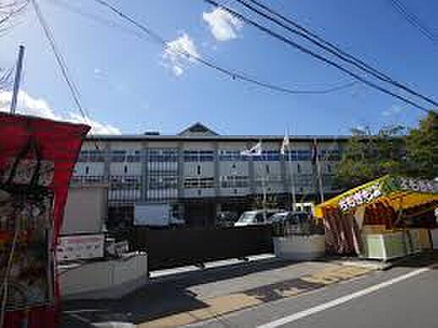 亀岡市立亀岡小学校（約770m）