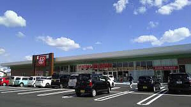 コープ中之島店（約650m）