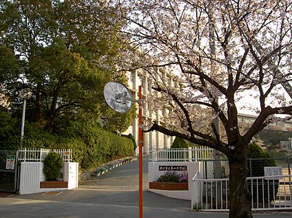枚方市立第四中学校 1100ｍ(徒歩14分)