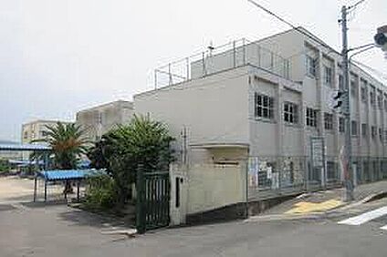 藤井寺市立道明寺東小学校 350ｍ(徒歩5分)