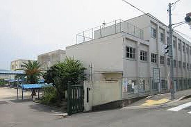 藤井寺市立道明寺東小学校(約350m)