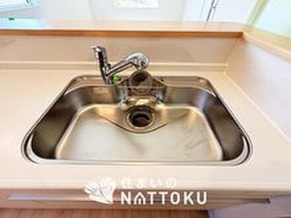浄水器内臓ハンドシャワー付シンク