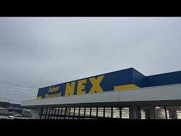 NEX西庄店（約1,100m）