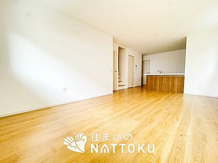 現地写真（リビング）