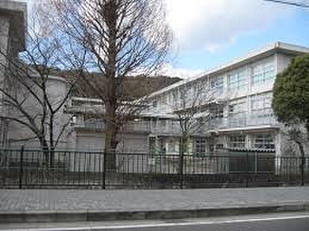 八幡市立八幡小学校(約840m)