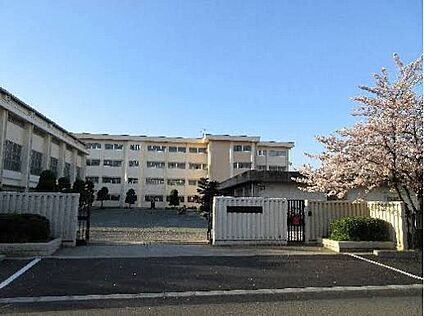 八尾市立南高安中学校 1300ｍ(徒歩17分)