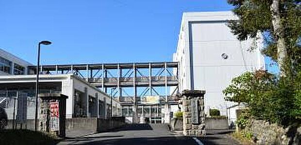綾部市立綾部中学校(約850m)