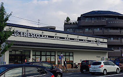フレスコ上桂店 440ｍ(徒歩6分)