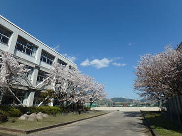 亀岡市立南桑中学校(約3,600m)