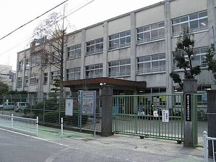 藤井寺市立藤井寺中学校 2000ｍ(徒歩25分)