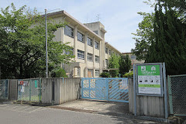 柏原市立玉手小学校(約350m)