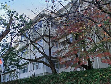 豊中市立上野小学校 790ｍ(徒歩10分)