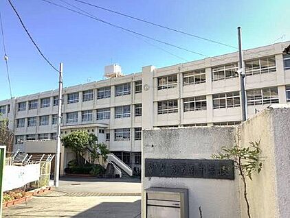 羽曳野市立高鷲南中学校 1000ｍ(徒歩13分)