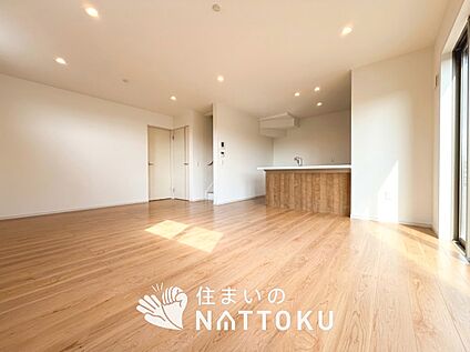 現地写真(リビング)
