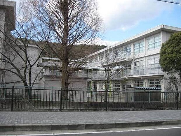 八幡市立八幡小学校（約1,200m）