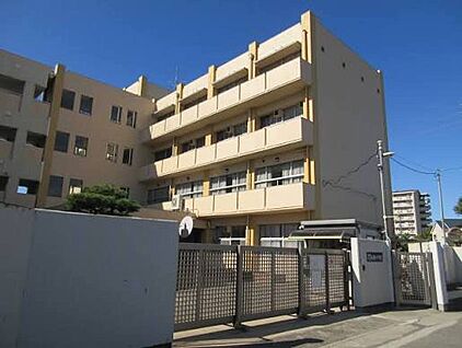 松原市立松原東小学校 800ｍ(徒歩10分)