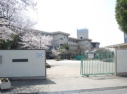 寝屋川市立第九中学校 1100ｍ(徒歩14分)