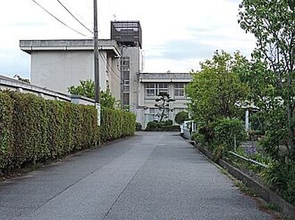 彦根市立中央中学校 650ｍ(徒歩9分)