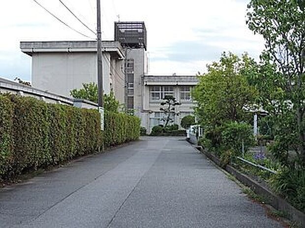 彦根市立中央中学校（約650m）