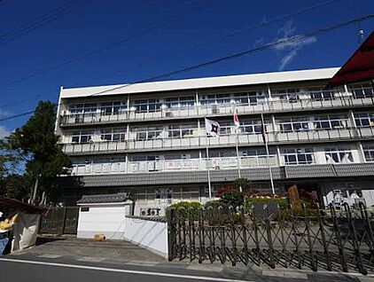 亀岡市立亀岡中学校 1000ｍ(徒歩13分)