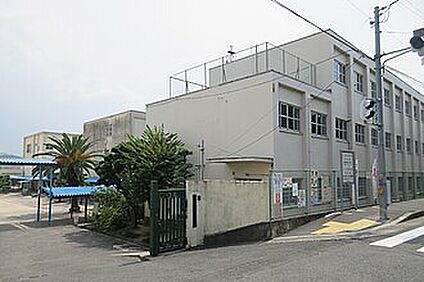 藤井寺市立道明寺東小学校 390ｍ(徒歩5分)