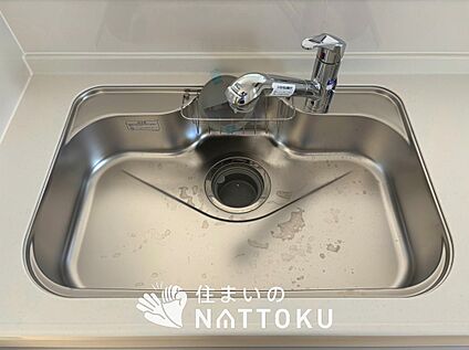 浄水器内臓ハンドシャワー付シンク