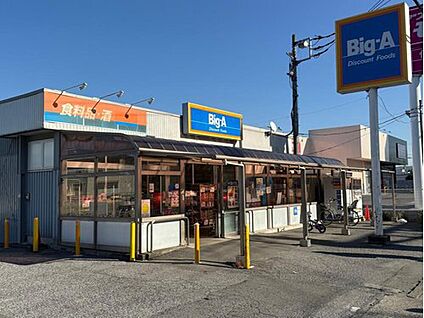 ビッグ・エー草加金明町店 755m(徒歩10分)