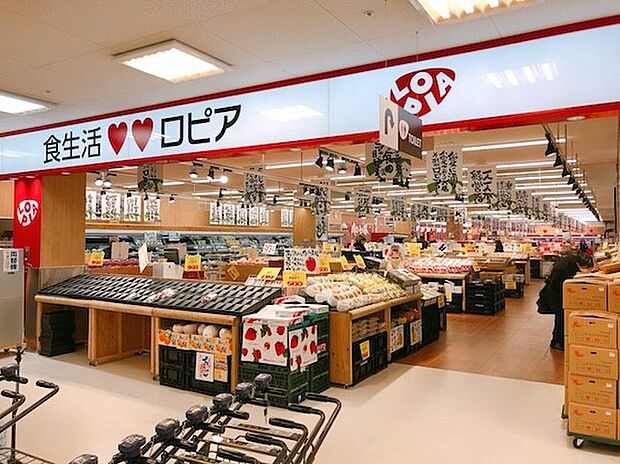 ロピア 草加セーモンプラザ店（約700m）