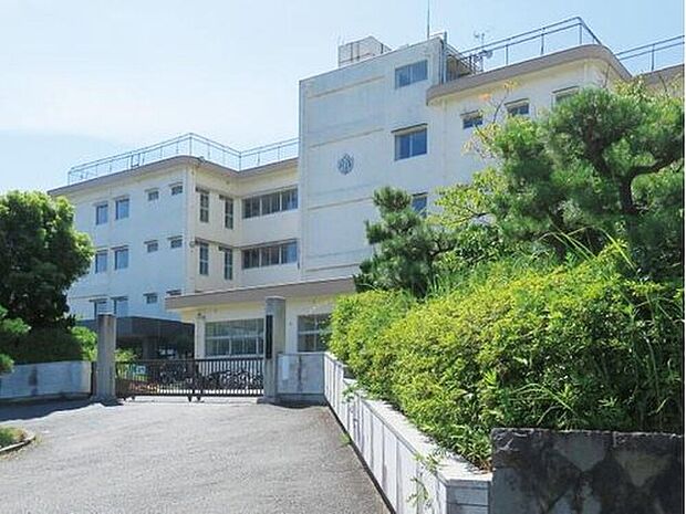 平塚市立花水小学校（約240m）