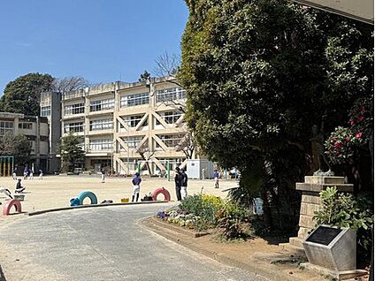 松戸市立小金小学校 385m(徒歩5分)