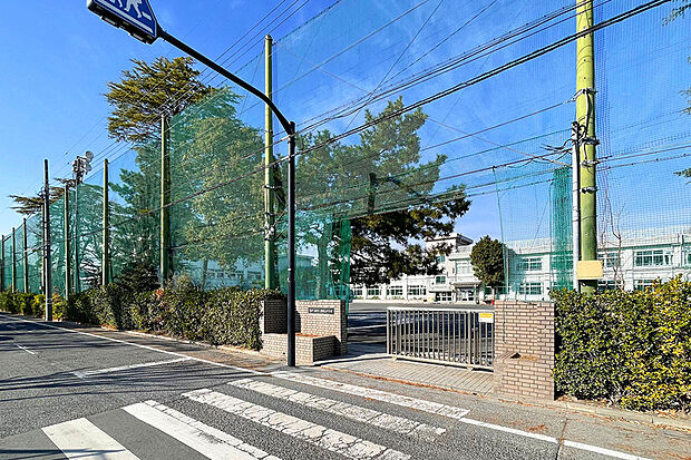 江戸川区立小岩第三中学校（現地より徒歩15分）