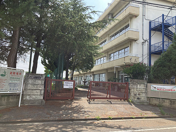 宗岡中学校（約800m）