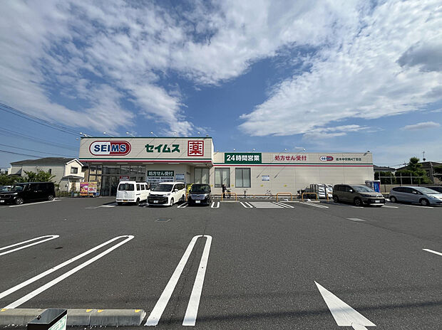 ドラッグセイムス志木中宗岡4丁目店（約260m）
