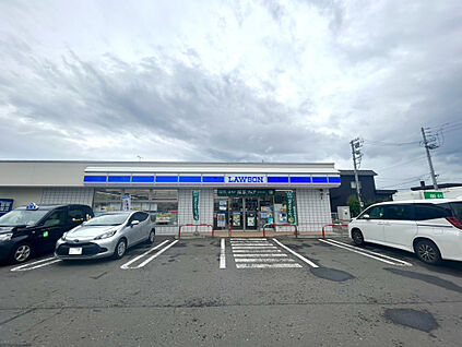 ローソン札幌新琴似7条十二丁目店 300m