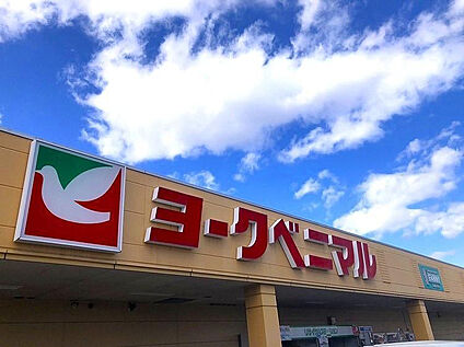 ヨークベニマル伊達店 910m