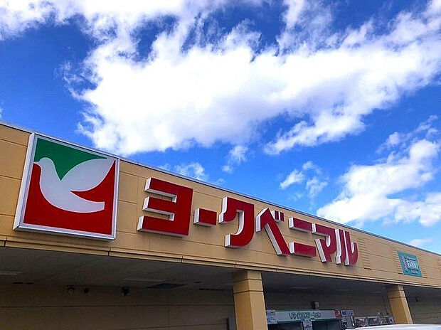 ヨークベニマル伊達店(約910m)