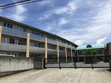 双葉東小学校 485m