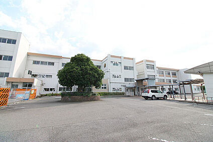 高橋中学校 446m