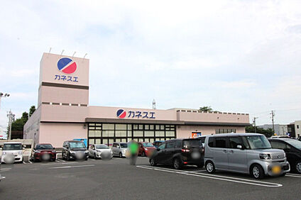 カネスエ平和店 1700m