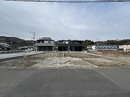 【販売現地】2026.2.20撮影